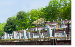 手の行き届いた園内